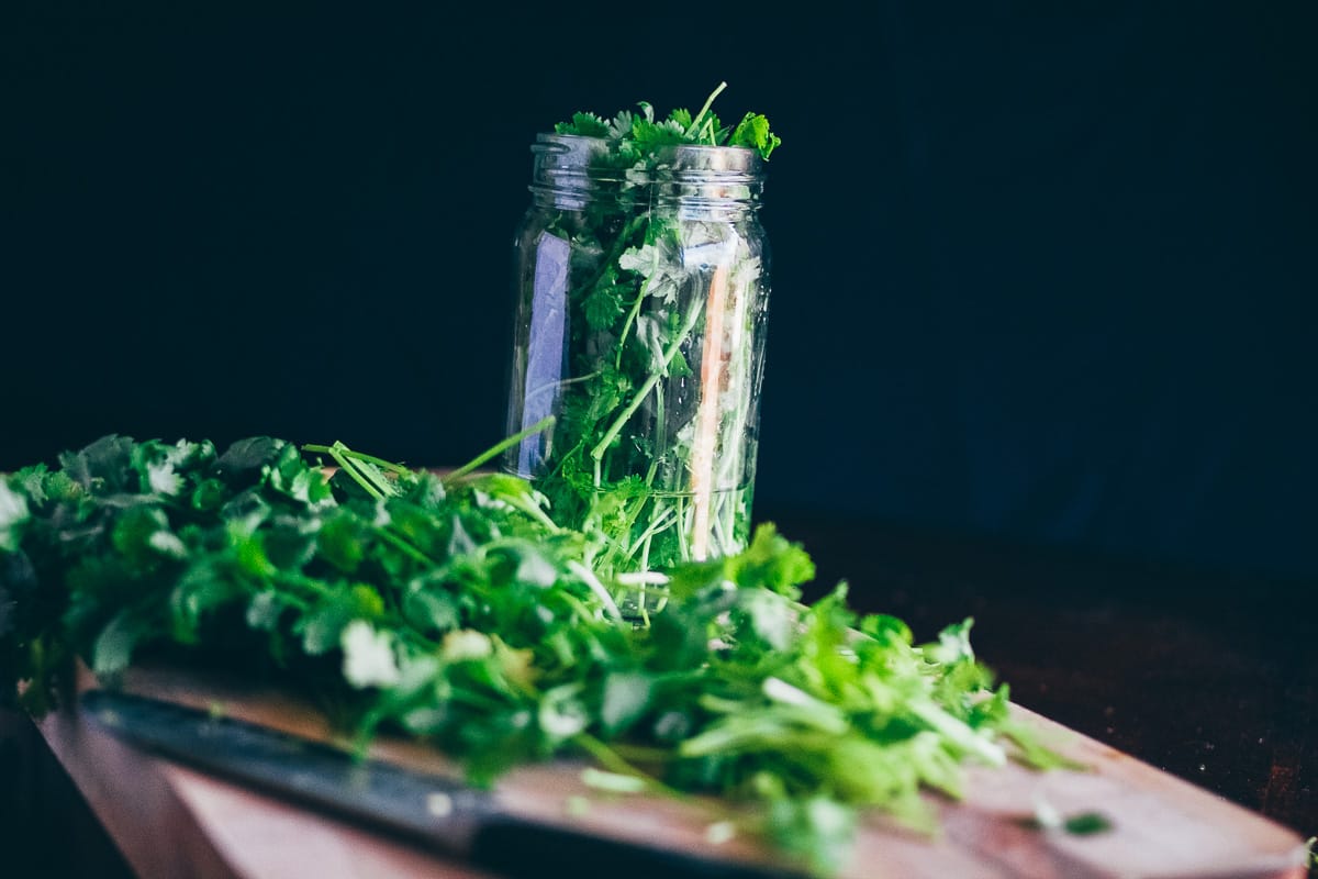 how to keep cilantro from wilting 10