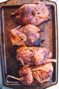 Barbecue Smoked Pulled Chicken 21