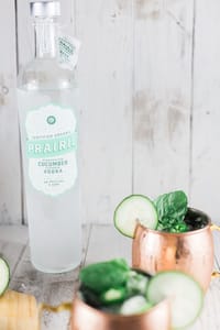 Jalapeno Mint Cucumber Moscow Mule 15