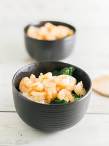 Mango Habanaro Glazed Shrimp Bowl 9
