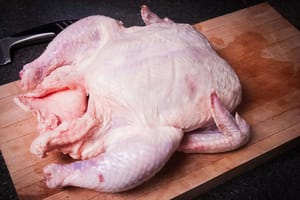 quart chick 1