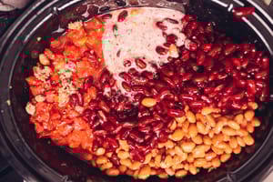 Habenero Turkey Spicy Crock Pot Chili 23