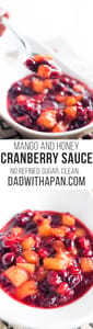 Cranberry Sauce Mango Honey Pin