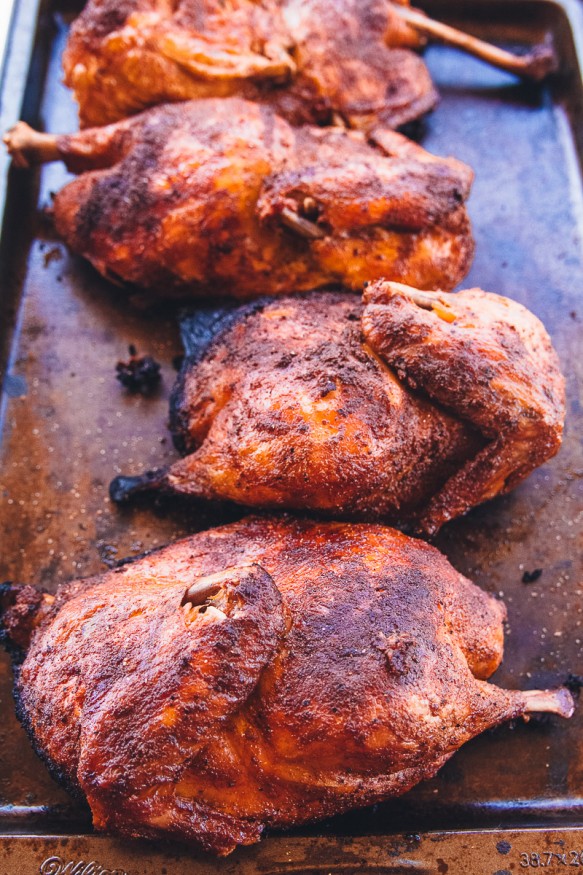 Slow cooked on the grill and apple wood-smoked barbecue pulled chicken with a home-made seasoning. Makes a great pulled pork sandwich substitute!