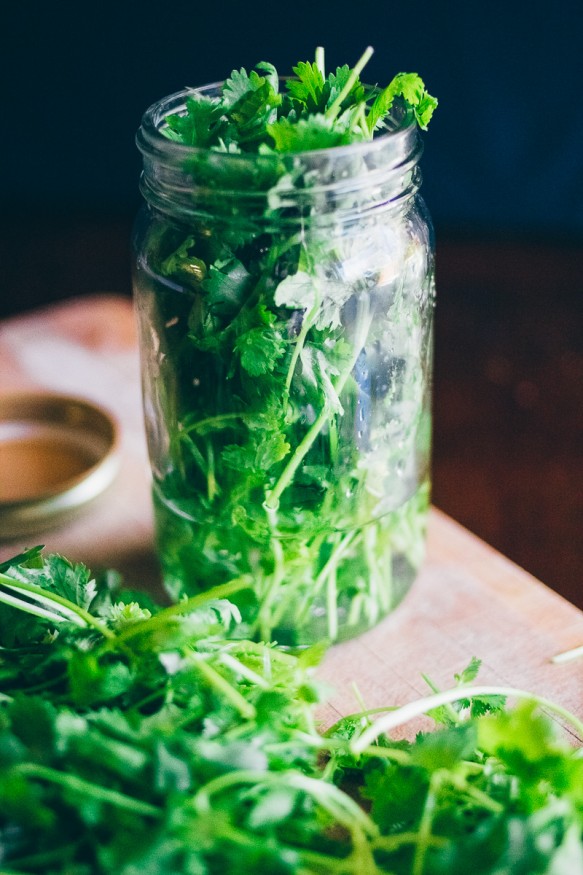 Tired of wasting cilantro? Cut the stems and store the leftovers in a jar with a little water and it'll last you weeks!