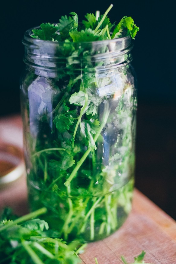 Tired of wasting cilantro? Cut the stems and store the leftovers in a jar with a little water and it'll last you weeks!