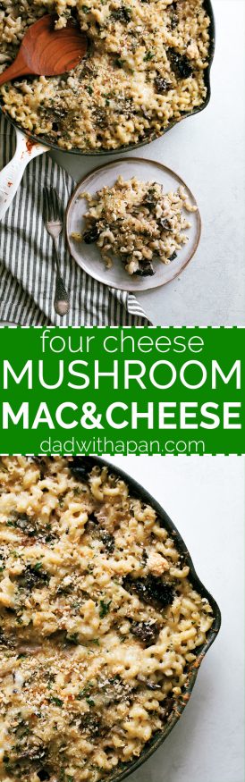 This portobello mushroom mac and cheese recipe is what dreams are made of. Loaded with four different kinds of cheese and hearty portobello mushroom.