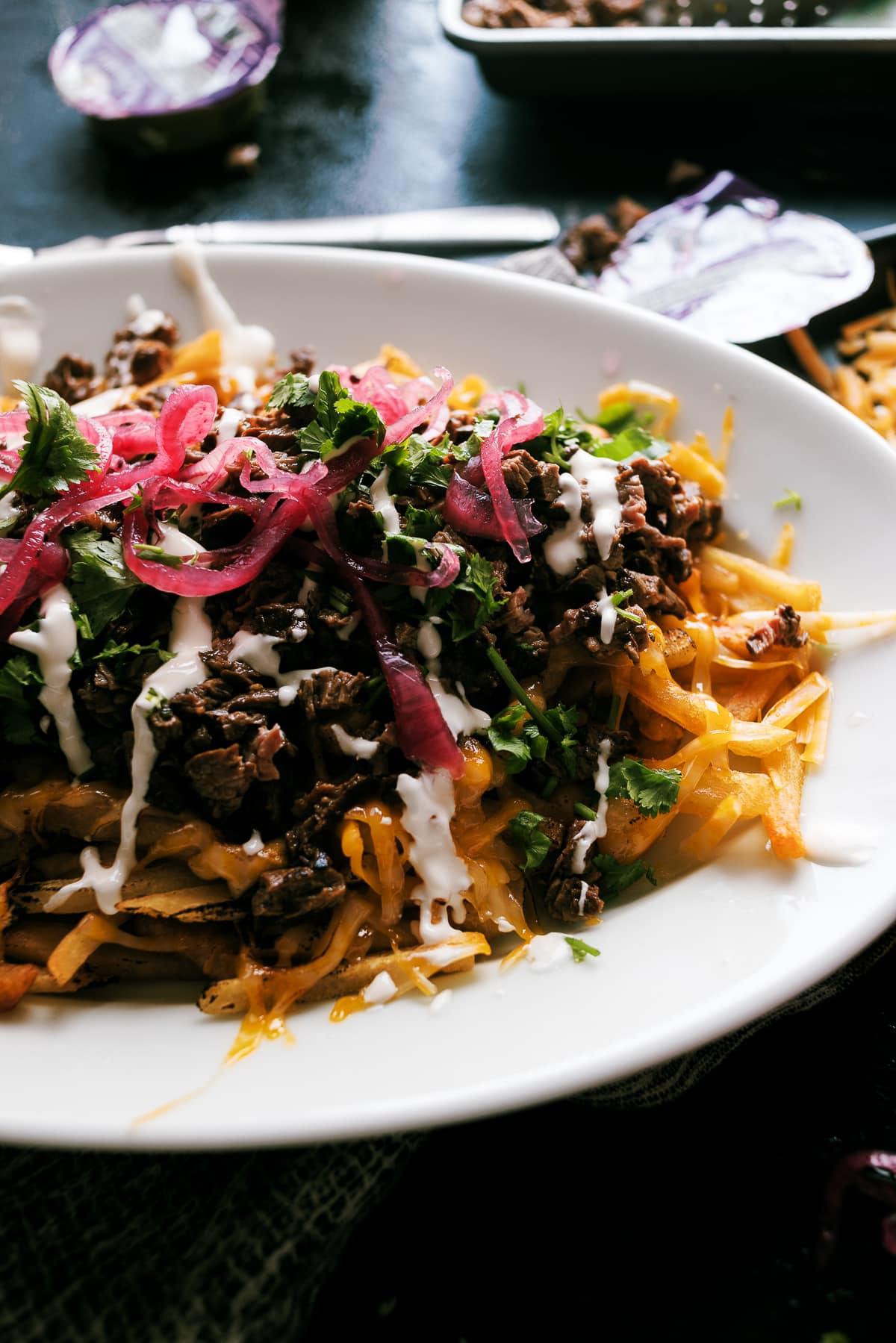 Carne Asada Fries - Dad With A Pan