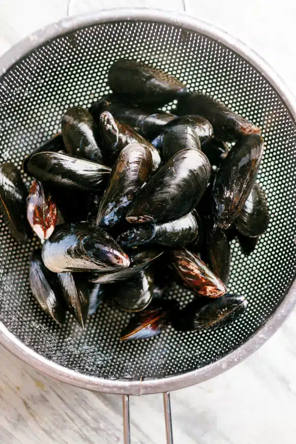 Mussels in a white wine cream sauce served over paprika fries is an easy to make recipe with little prep time!