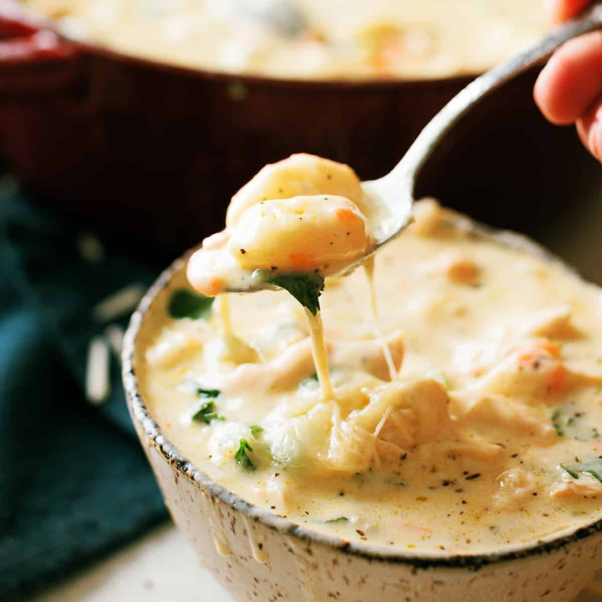 Chicken-Gnocchi-Cheese-Soup-9-crop