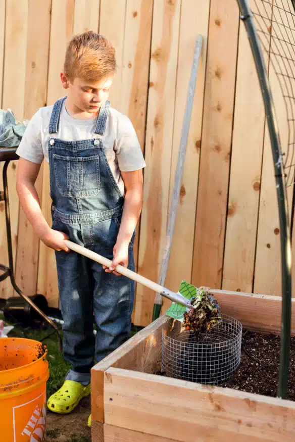 A Keyhole garden is a style of raised bed that has built in composting, and creates a sustainable ecosystem that your plants will thrive in