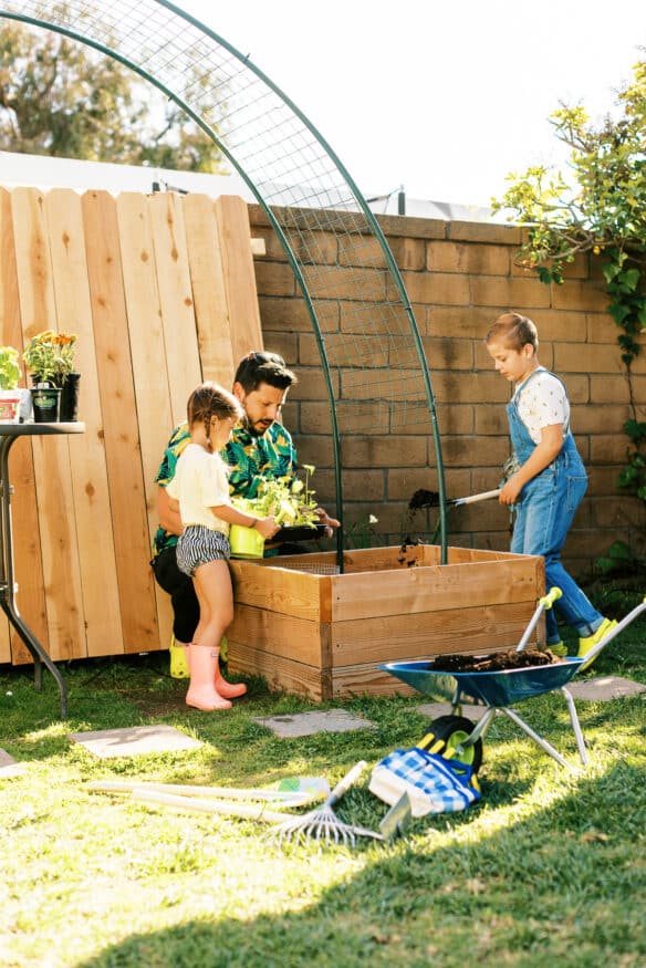 A Keyhole garden is a style of raised bed that has built in composting, and creates a sustainable ecosystem that your plants will thrive in
