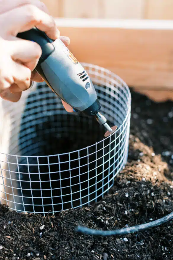 A Keyhole garden is a style of raised bed that has built in composting, and creates a sustainable ecosystem that your plants will thrive in