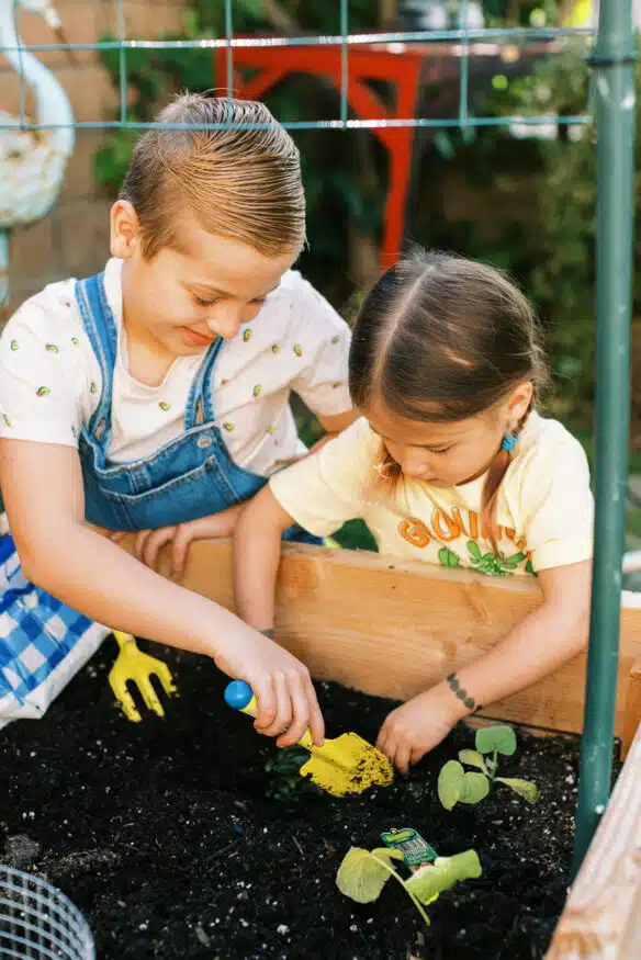 A Keyhole garden is a style of raised bed that has built in composting, and creates a sustainable ecosystem that your plants will thrive in